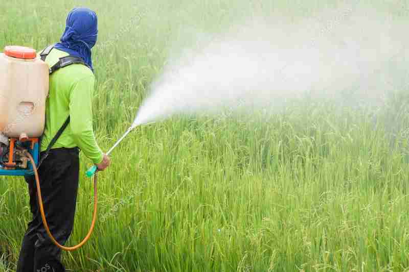 Herbicides Pesticides phytosanitaires phytopharmaceutique Santé humaine