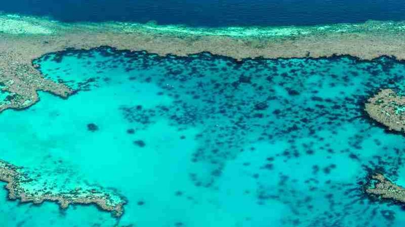Grande barrière de corail et récifs en Australie