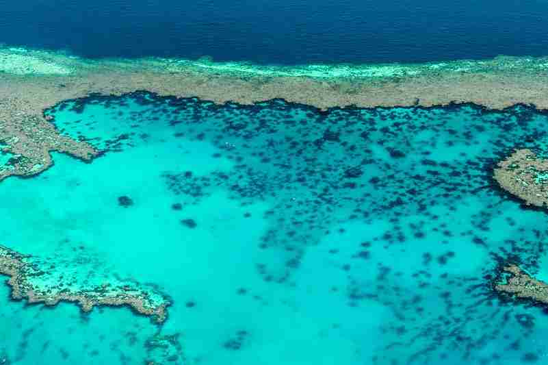 Grande barrière de corail et récifs en Australie