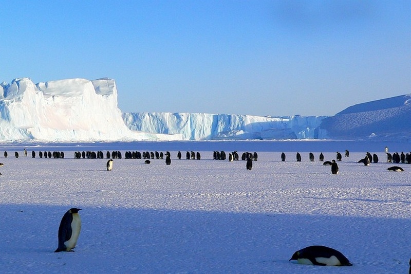 Antarctique et banquise