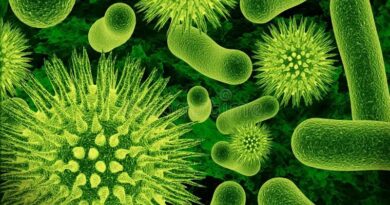 Bactéries Virus Listériose