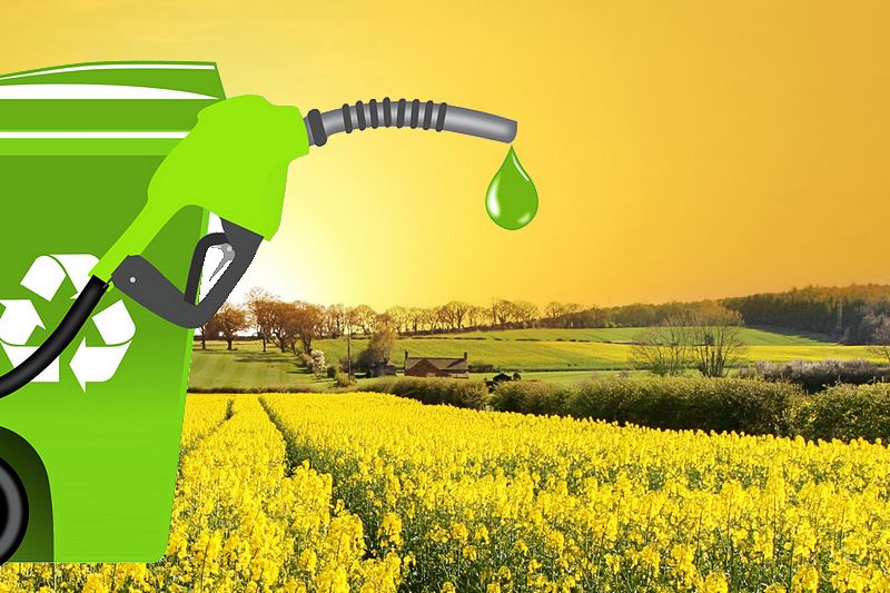 Biocarburants à l’huile