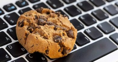 Cookies tiers sur internet cookies strictement nécessaires au fonctionnement cookies analytiques cookies publicitaires