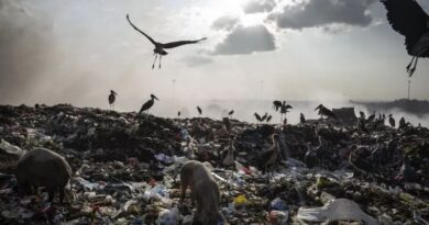 Des milliers de tonnes de vêtements synthétiques ou non, pourrissent et polluent l'environnement