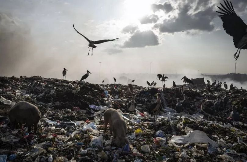 Des milliers de tonnes de vêtements synthétiques ou non, pourrissent et polluent l'environnement