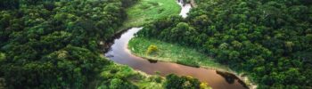 Amazonie et Forêt Amazonienne en détresse
