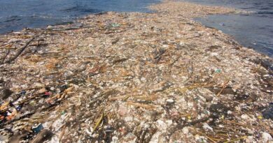 Motagua : le fleuve de plastique