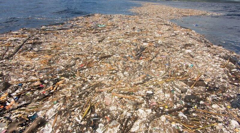 Motagua : le fleuve de plastique